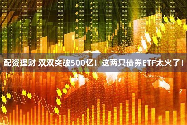 配资理财 双双突破500亿！这两只债券ETF太火了！